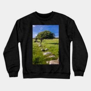 Tree and Remains of Wall near Sandyhills Dumfries and Galloway Photograph Crewneck Sweatshirt